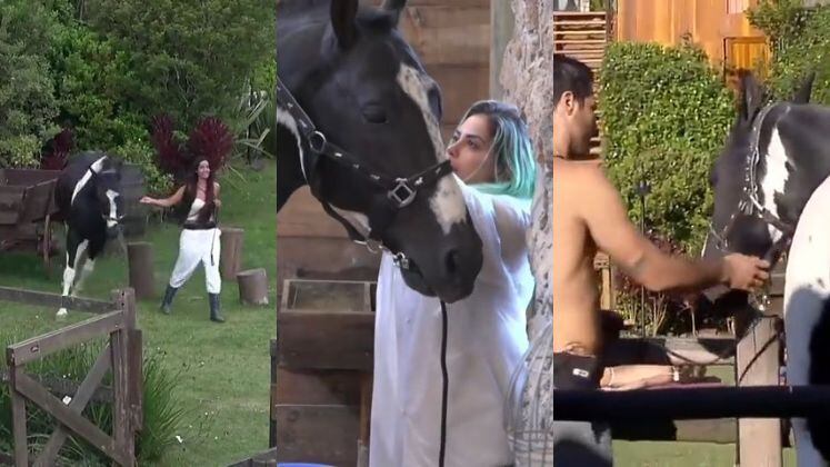 Se tem um animal que é o grande xodô dos peões em A Fazenda 14 é o cavalo Colorado! Cheio de fofura, ele é capaz de amolecer os corações de quem na Baia querendo colocar fogo no feno. Reveja os momentos em que ele roubou a cena!