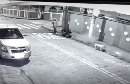 Cachorro nas imagens da câmera de segurança