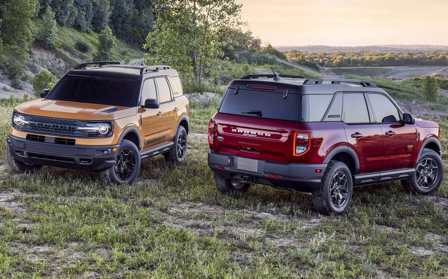 Anúncio foi feito por Lyle Waters, presidente da Ford América do Sul