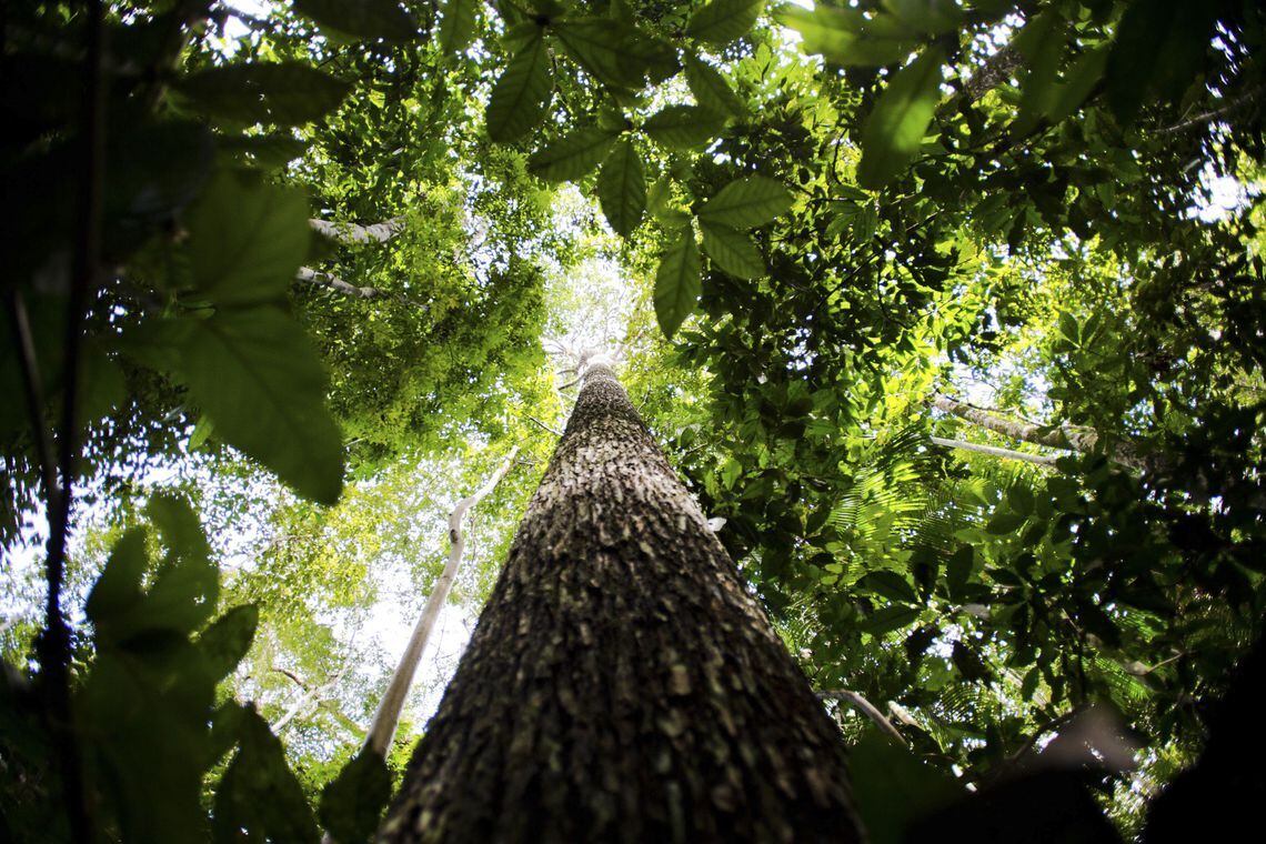 Licenciamento ambiental e regularização fundiária