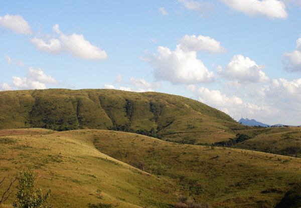 Área em Franco da Rocha abriga o último remanescente do Cerrado preservado na Grande SP