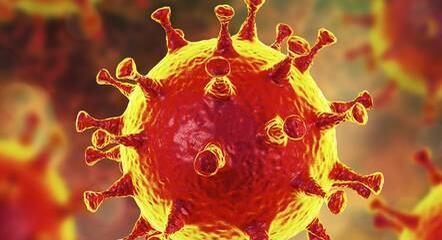 Africana veio do Congo e desembarcou em SP