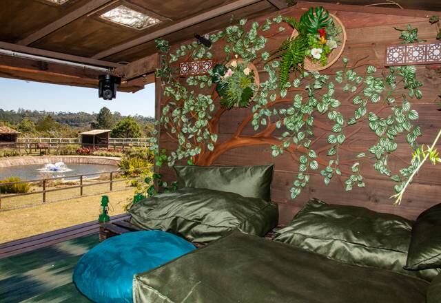 A casa da árvore se torna um lugar especial ao longo da temporada. Já foi cenário de primeiro beijo, desabafos, discussões e panelinhas entre os peões