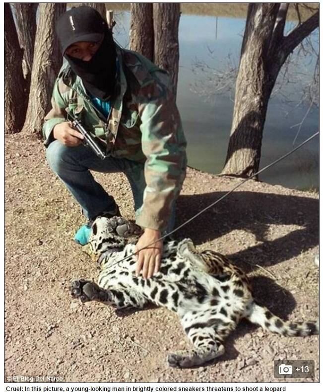 Nesta outra foto, um jovem vestindo meias coloridas parece estar ameaçando matar um filhote de leopardo   
             
Conheça o R7 Play e assista a todos os programas da Record na íntegra!