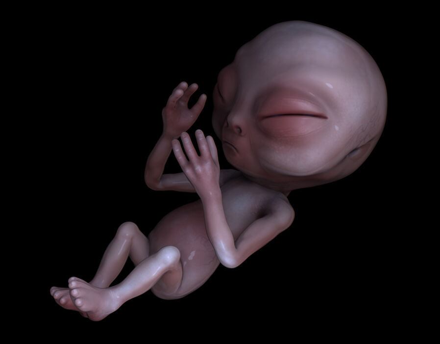 John Mooner, o britânico que se diz especialista em discos voadores, afirmou ter sido socado por um alien antes de ser colocado em discos voadores