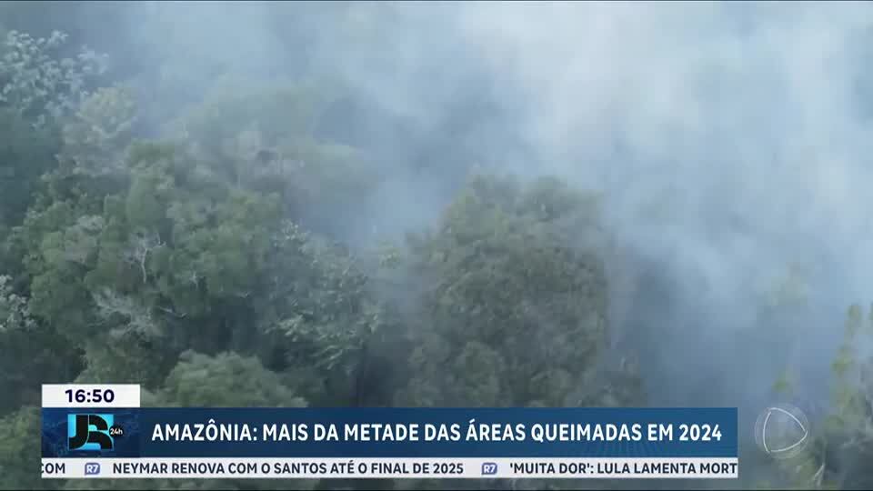 Área queimada no Brasil em 2024 supera média histórica