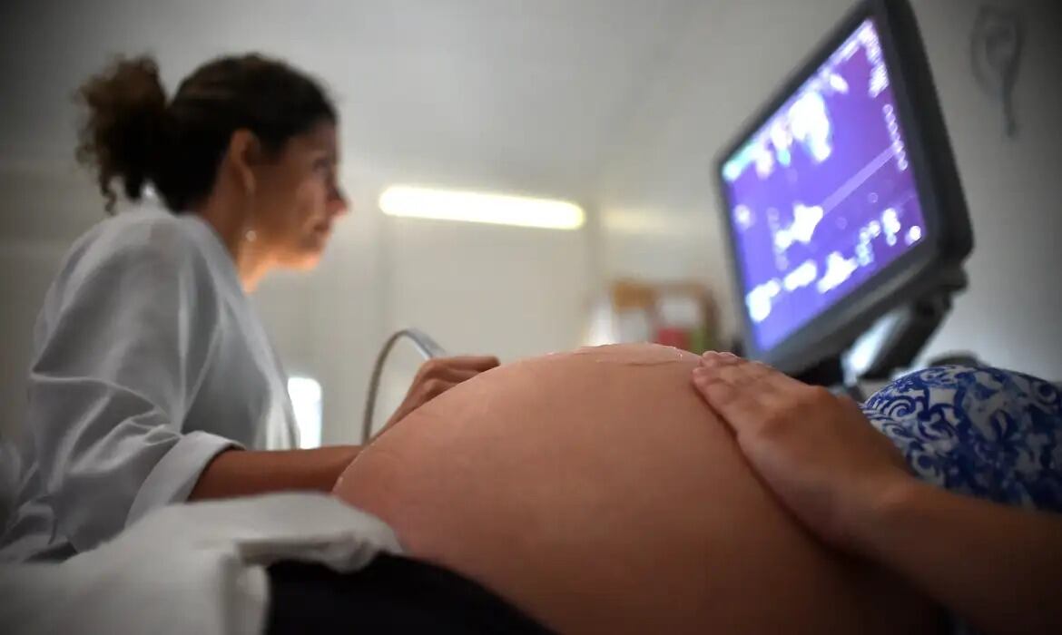 Segundo a pesquisadora, a epidemia de zika entre 2015 e 2016 também influenciou o aumento