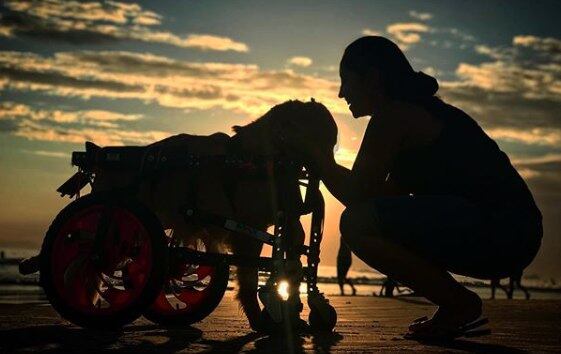 Foi amor à primeira vista. A partir desse momento, sua mãe, Mariana, lançou uma vaquinha online para arcar com os gastos médicos 