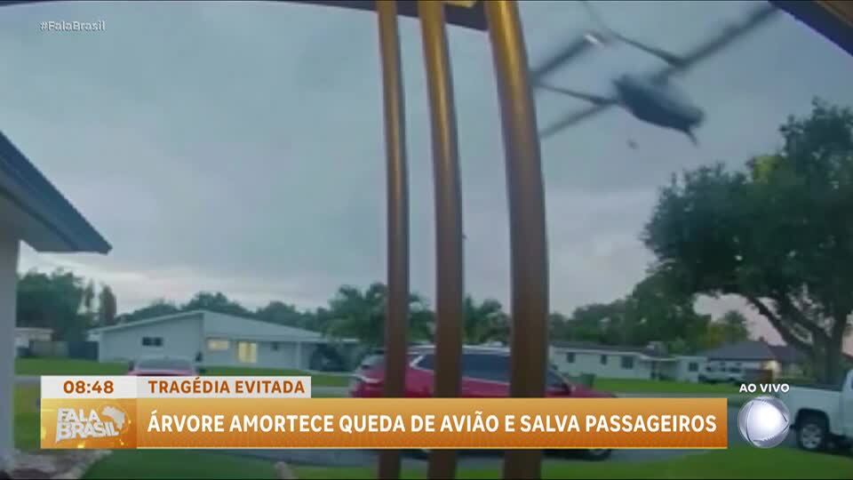 Árvore amortece queda de avião na Flórida; quatro pessoas ficaram feridas