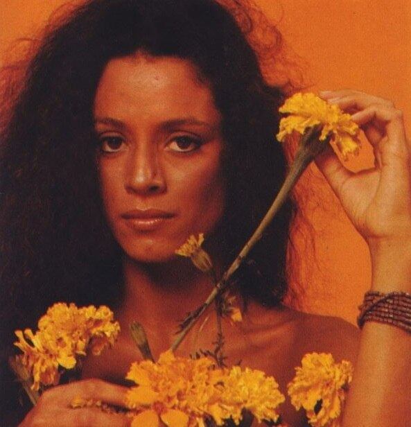 Eleita em 2006 pela revista People como a atriz mais bem paga do mundo, Sônia Braga tinha apenas 25 anos quando estrelou Gabriela na televisão. O ano era 1983. Sua beleza e sensualidade cativava toda a Ilhéus, em especial Nacib, um importante proprietário de um bar da cidade