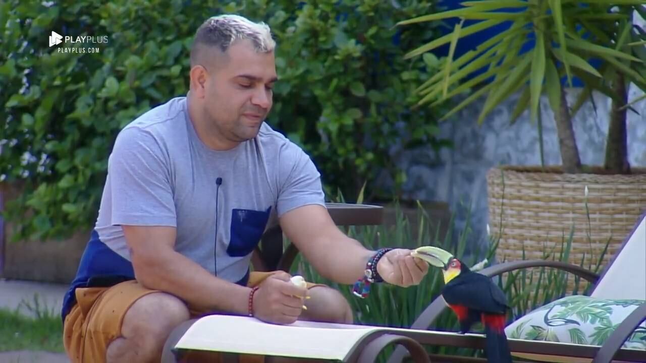 Tucano vira novo mascote