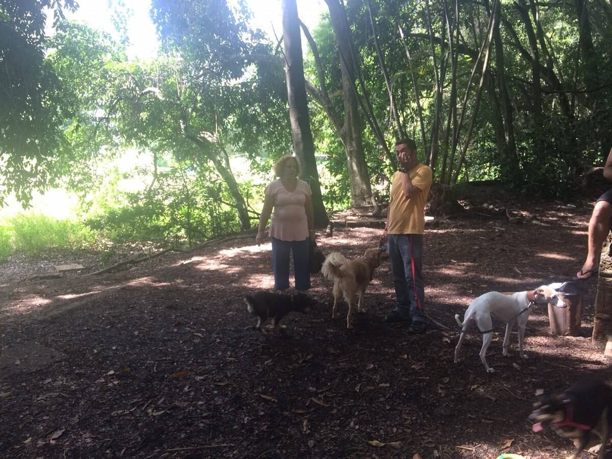 Vizinhos aproveitam a reabertura do local para passear com cães