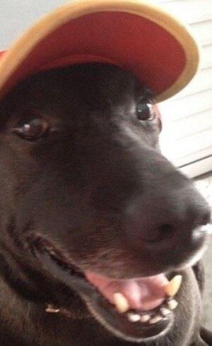 Negão é uma simpatia e usa até boné