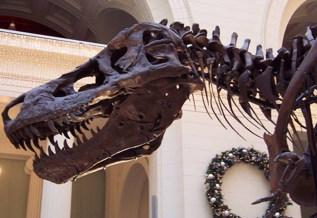 Os dinossauros são uma dos animais que mais habitam o imaginário humano. Afinal, como era a vida desses gigantes que viviam no mesmo planeta que o nosso, há seis milhões de anos? Mas existem alguns mitos sobre os dinossauros que já foram desconsiderados pela ciência. Confira