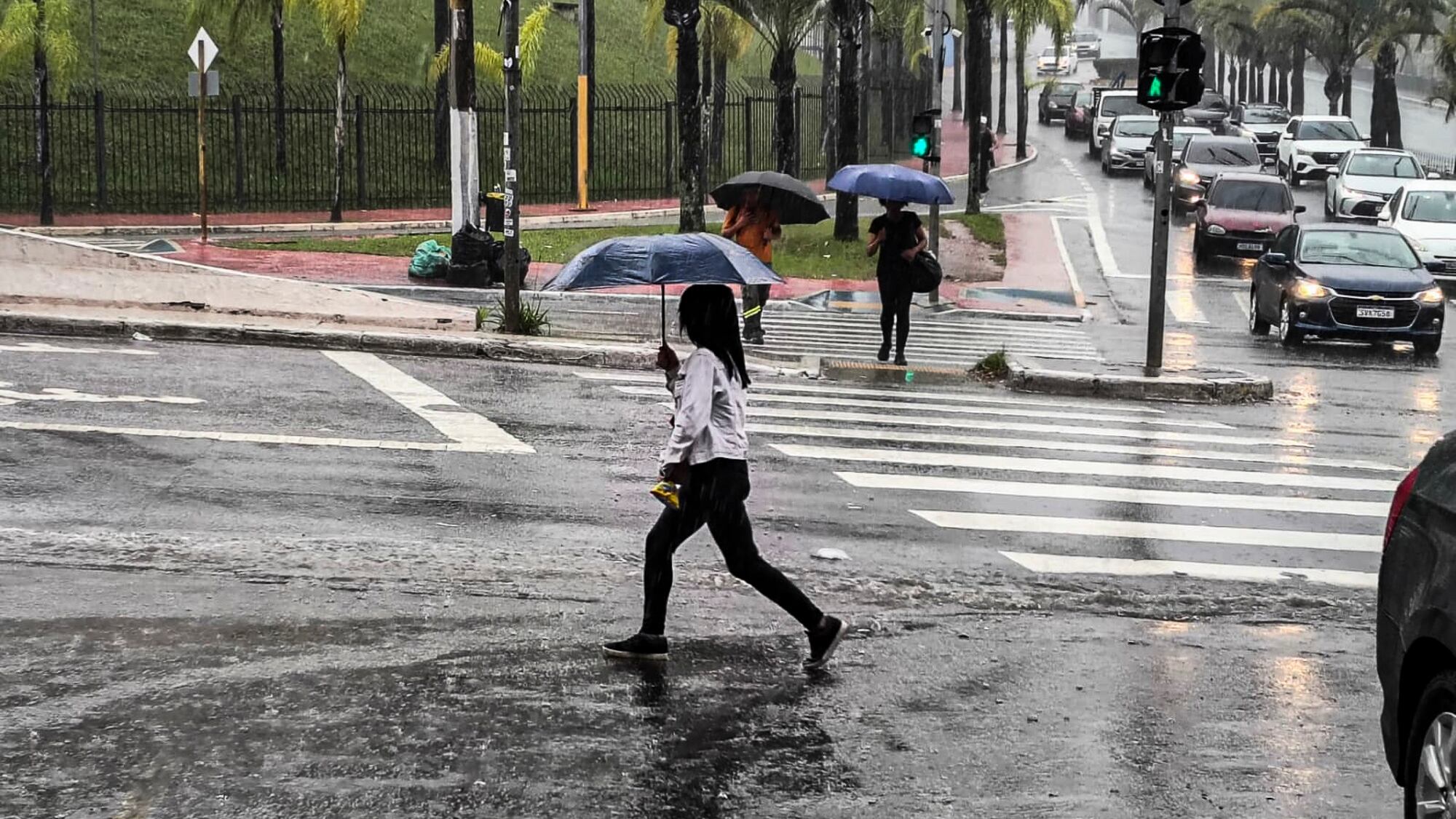 Pedestres se protegem da chuva na Avenida Interlagos, na zona sul de SP