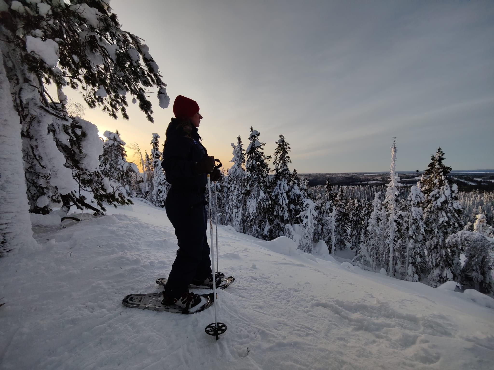 Com raquetes nos pés, percorri as trilhas nevadas do Parque Nacional Koli, imersos no silêncio e na beleza do inverno finlandês