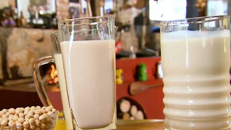 Leite de Castanha de Caju 

- 1 xícara de castanha de caju crua (aprox.. 100g), não usar a castanha torrada
- Água para ferver as castanhas
- 4 xícaras de água filtrada para fazer o leite (aprox.. 800 ml) 

Modo de fazer:
- Levar as castanhas ao fogo com água e deixar ferver por aproximadamente 10 minutos
- Escorrer as castanhas usando uma peneira
- Bater no liquidificador em velocidade alta as castanhas escorridas com aproximadamente 800ml de água
- Não precisa coar, apenas bater até toda a castanha se desfazer e não ficar pedacinhos.
- O tempo vai depender da potência do liquidificador