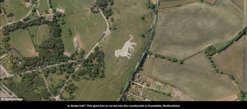 Será que o Simba, do filme "O Rei Leão", está perdido? Este leão gigante foi esculpido num campo rural localizado em Dunstable, Bedfordshire, na Inglaterra