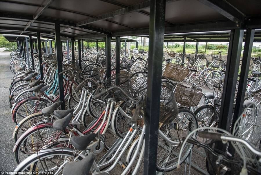 Milhares de bicicletas foram abandonadas pelos moradores