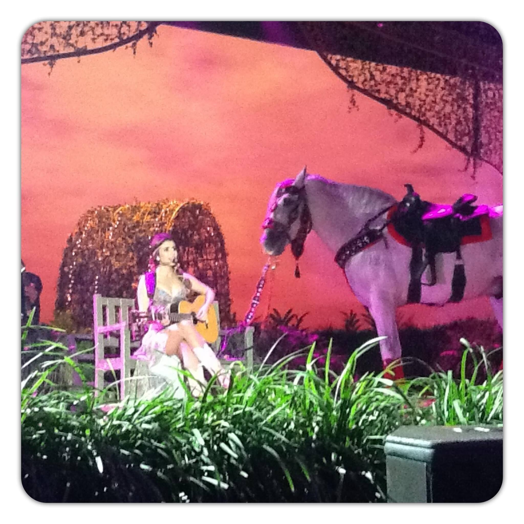 E quando o
assunto é surpresa, Paula surpreendeu ao entrar no HSBC Arena com um cavalo. 

— Era um sonho antigo. É o bicho que eu
mais amo na natureza. Eu queria muito poder dividir essa minha paixão com as
pessoas e registrar isso. E eu pude fazer isso fazendo as duas coisas que eu
mais amo na vida, que é cantar e andar a cavalo