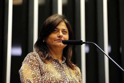 Alice Portugal representa a bancada feminina na luta para manter prisão em regime fechado para devedores de pensão alimentícia
