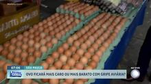 Casos de gripe aviária podem fazer preço do ovo diminuir