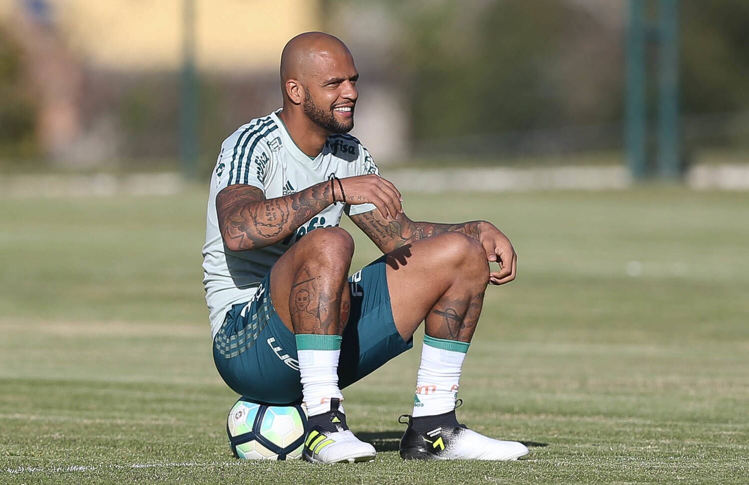 Felipe Melo está de volta ao elenco do Palmeiras
