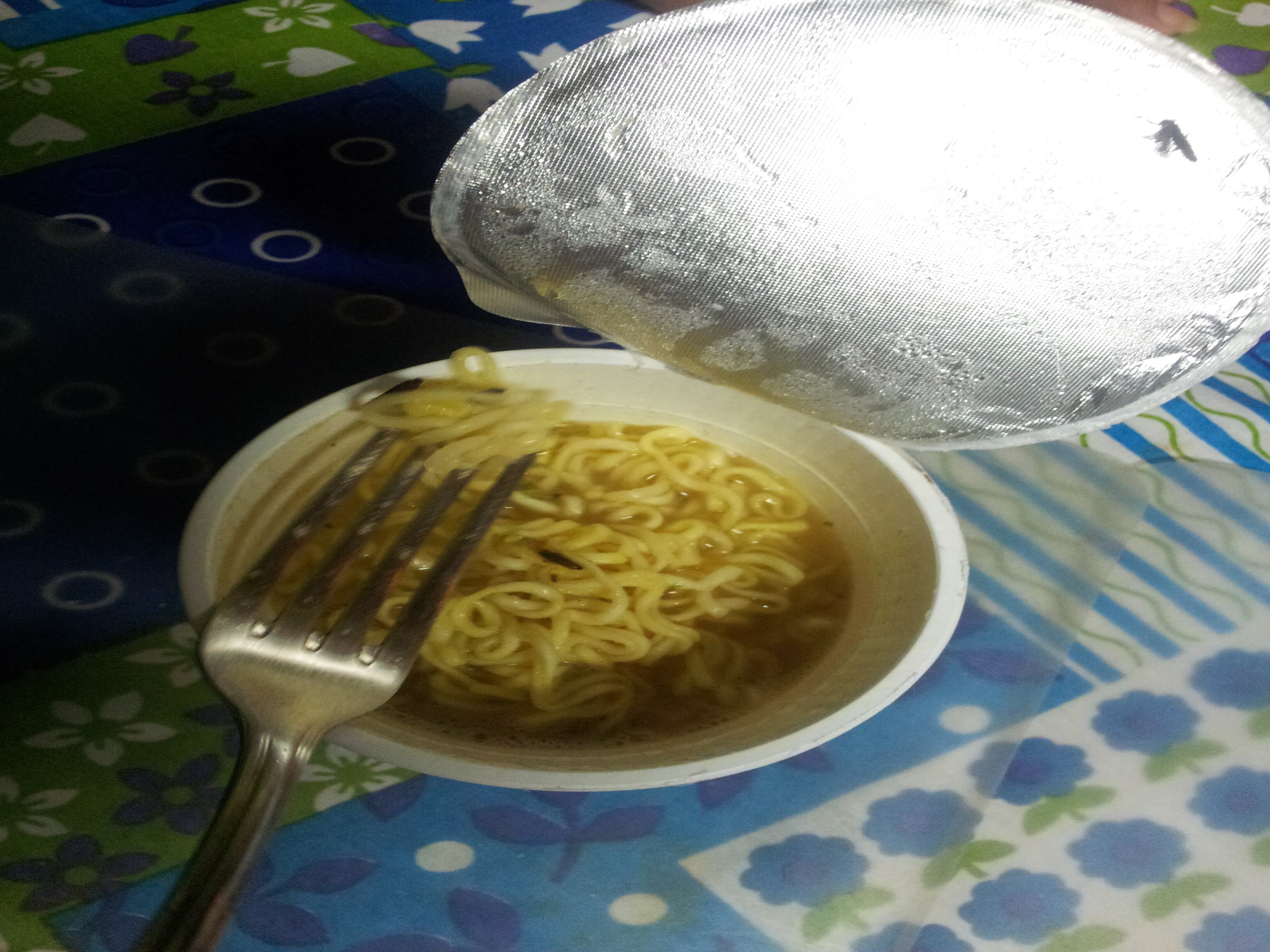 Consumidora encontrou larvas de inseto em macarrão instantâneo