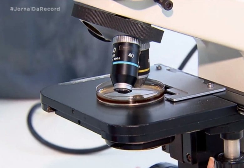 Em todo o Brasil, 16 centros de pesquisas clínicas participaram do estudo, que é considerado um dos mais completos até agora. A amostragem envolve cerca de 17 mil pessoas com idades entre 2 e 59 anos. Os resultados começam a ser analisados a partir de dezembro
Você realmente sabe combater o Aedes aegypti? Faça o teste agora para descobrir