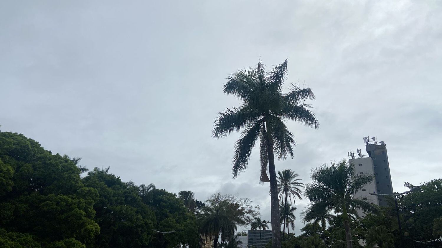 A temperatura no fim de semana deve variar entre 18°C e 24ºC.