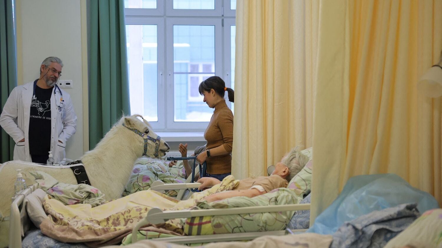 Profissionais de saúde e especialistas em cuidados paliativos concordam: muitos pacientes sentem falta de poder acariciar um animal ou cuidar de um bicho de estimação. Portanto, as visitas de Dietrich podem ser alegres e uma distração positiva para alguns pacientes internados há muito tempo