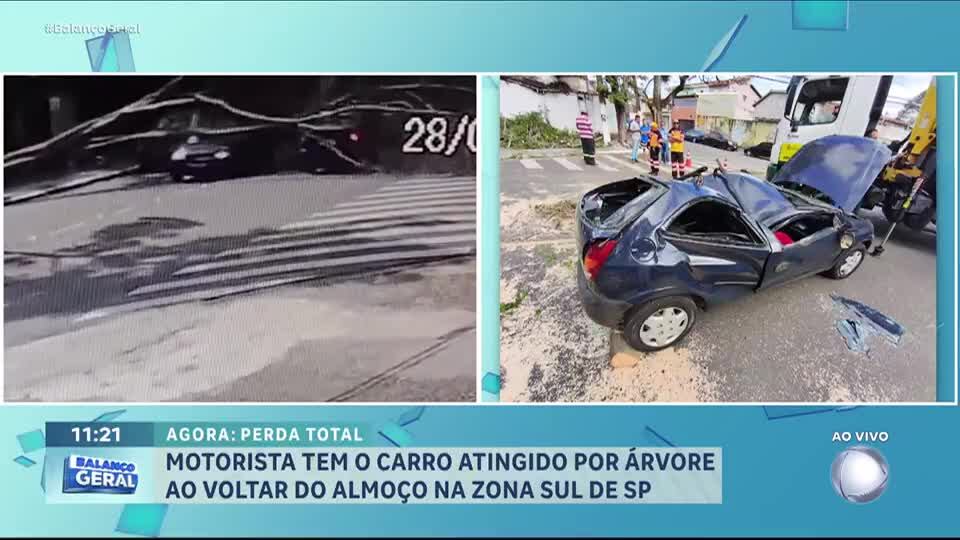Árvore cai sobre carro em São Paulo e motorista escapa sem ferimentos