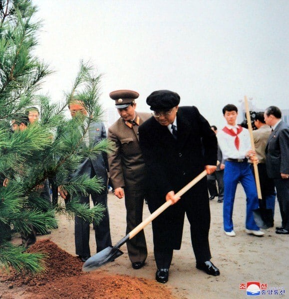 Há oito anos, Kim Jong-un tornou público o lema: "Que todo o partido, todo o Exército e todo o povo conduzam uma vigorosa campanha de restauração florestal para cobrir as montanhas do país com bosques verdes". Em 2015, ele próprio plantou uma árvore para acender as chamas do patriotismo no coração das pessoas da Coreia do Norte. Na foto, Kim Il-sung, avô de Kim Jong-un