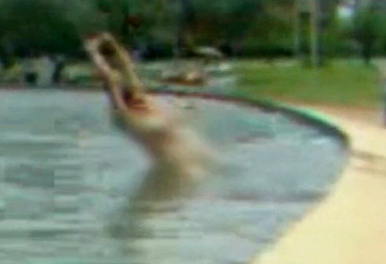 Em novembro de 2012, uma mulher de aproximadamente 35 anos ficou pelada e entrou na fonte luminosa da Torre de TV, na área central de Brasília, para tomar banho. No momento, dezenas de pessoas passavam pelo local com famílias e crianças. Algumas testemunhas disseram que a mulher parecia estar sóbria

Leia a matéria