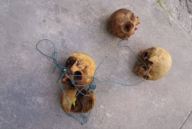 Ossadas teriam sido furtadas do Cemitério da Saudade