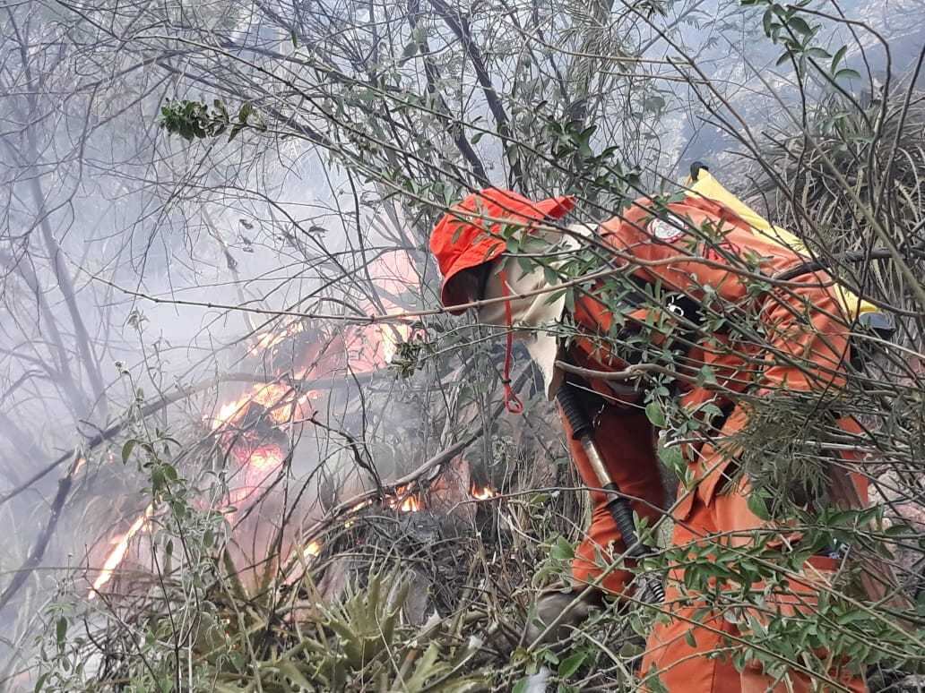 Um incêndio de grandes proporções atinge um trecho de vegetação na Chapada da Diamantina, desde sábado (19 de outubro de 2019), na Bahia.
O fogo abrange parte do território das cidades de Livramento de Nossa Senhora e Rio de Contas, além de uma região limítrofe entre os municípios de Lençóis, Palmeiras e Iraquara.