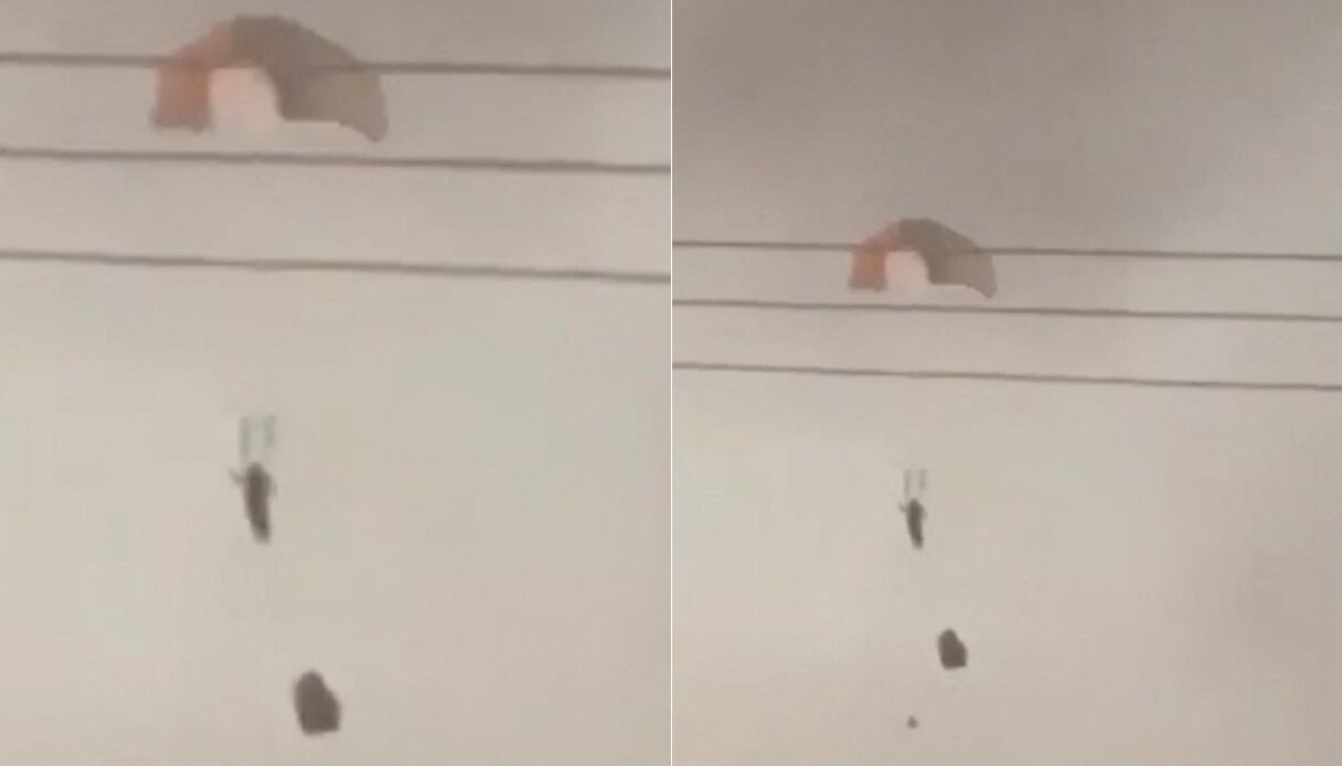 Homens, em paraquedas, ao fundo de rede de energia e no céu