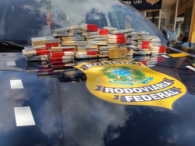 Estados do Pará e Roraima sofrem com degradação do garimpo ilegal