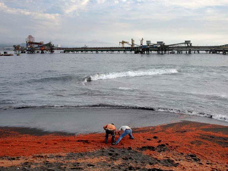 Homens examinam camarões mortos na cidade de Coronel, em Santiago, no
Chile. Os bichos morreram por conta da poluição, depois que a água usada
para resfriar duas usinas termelétricas próximas à praia foi despejada
no local