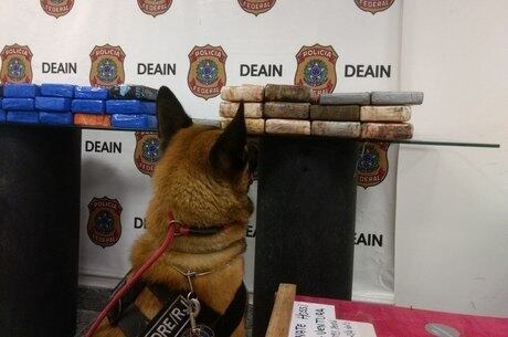 Polícia apreendeu 57 kg de cocaína em tabletes