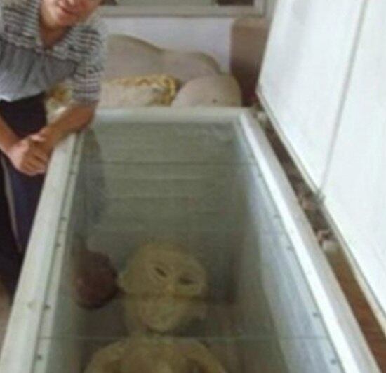 Esse outro corpo, também chamado de alienígena, foi achado por um chinês
em Binzhou, na província de Shandong. O cara, chamado apenas de "Li",
disse ter achado esse monstrengo numa armadilha para pegar coelho!
