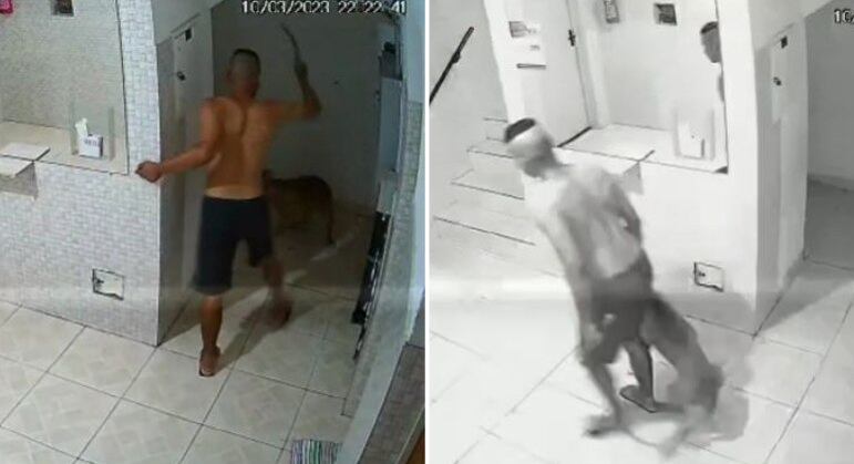 Pit bull é agredido pelo dono com barra de ferro, em São Paulo